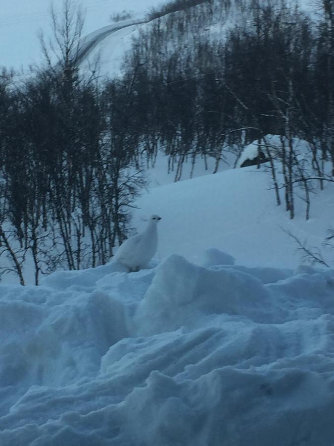 Hotel E-10 By First Kiruna Bagian luar foto